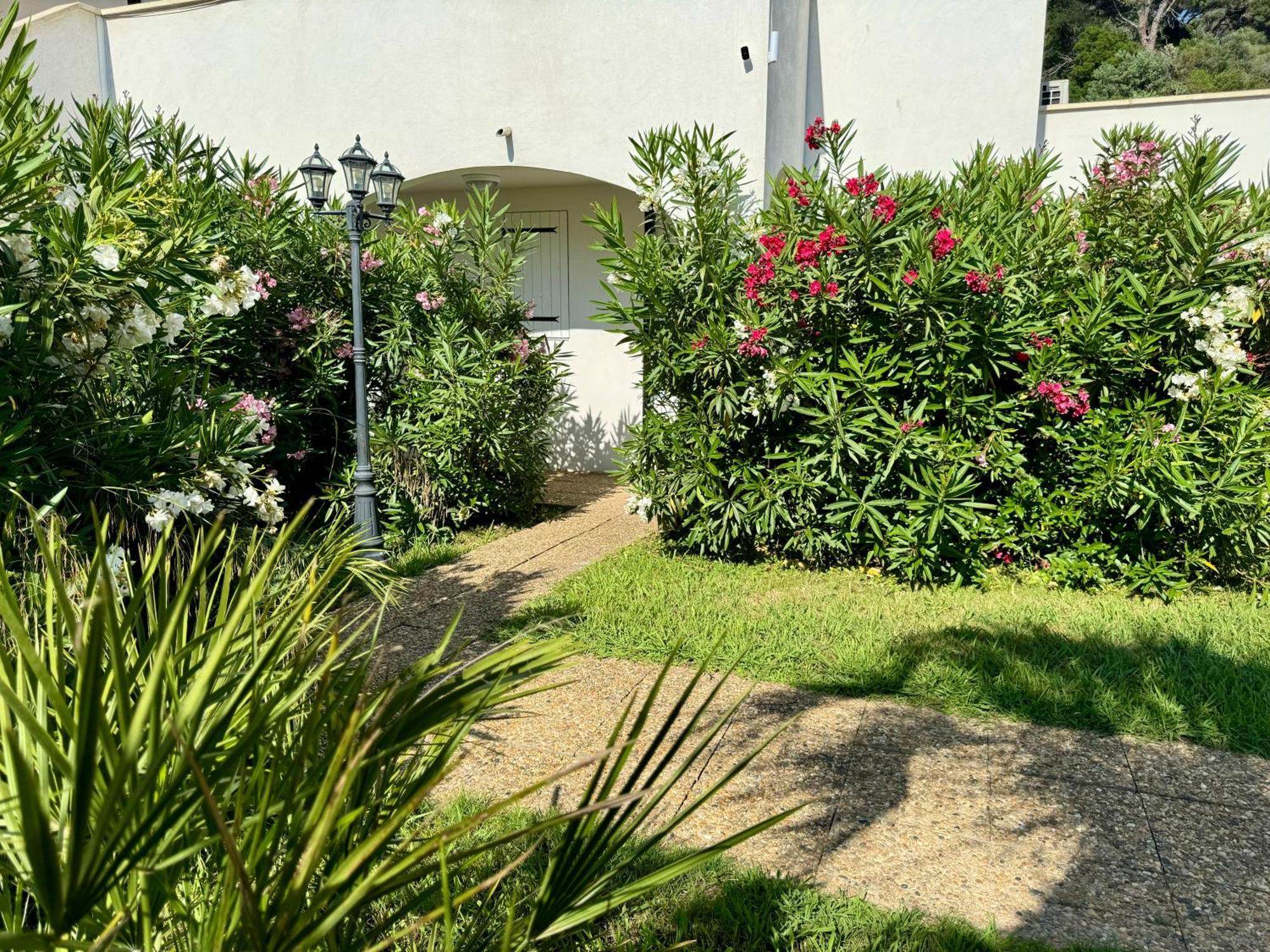 Beach Cannes Bungalows เลอกันเนต์ ภายนอก รูปภาพ